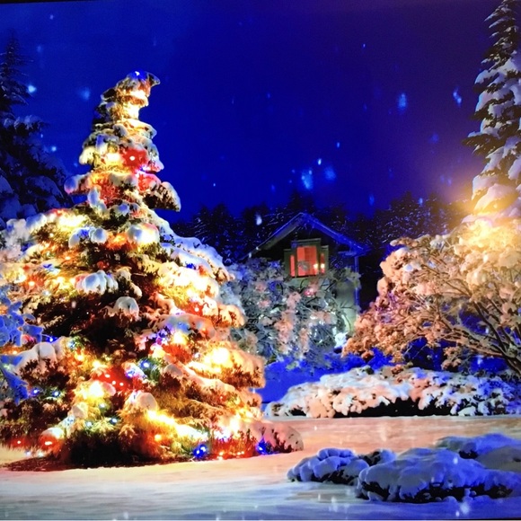 🎄ChristmasMAKE OFFER🎁 - Picture 10 of 14